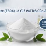 Ascorbyl Palmitate (E304) là gì? Lưu ý khi sử dụng 6 Ascorbyl Palmitate (E304) Là Gì Vai Trò Của Ascorbyl Palmitate