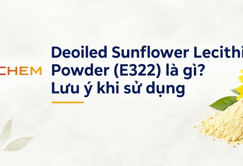 Deoiled Sunflower Lecithin Powder (E322) - Lưu ý khi sử dụng