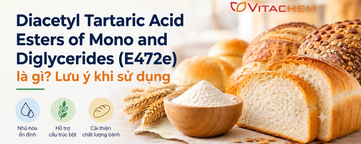 Diacetyl Tartaric Acid Esters of Mono and Diglycerides (E472e) là gì? Lưu ý khi sử dụng 9 Diacetyl Tartaric Acid Esters of Mono and Diglycerides (E472e) - Lưu ý khi sử dụng