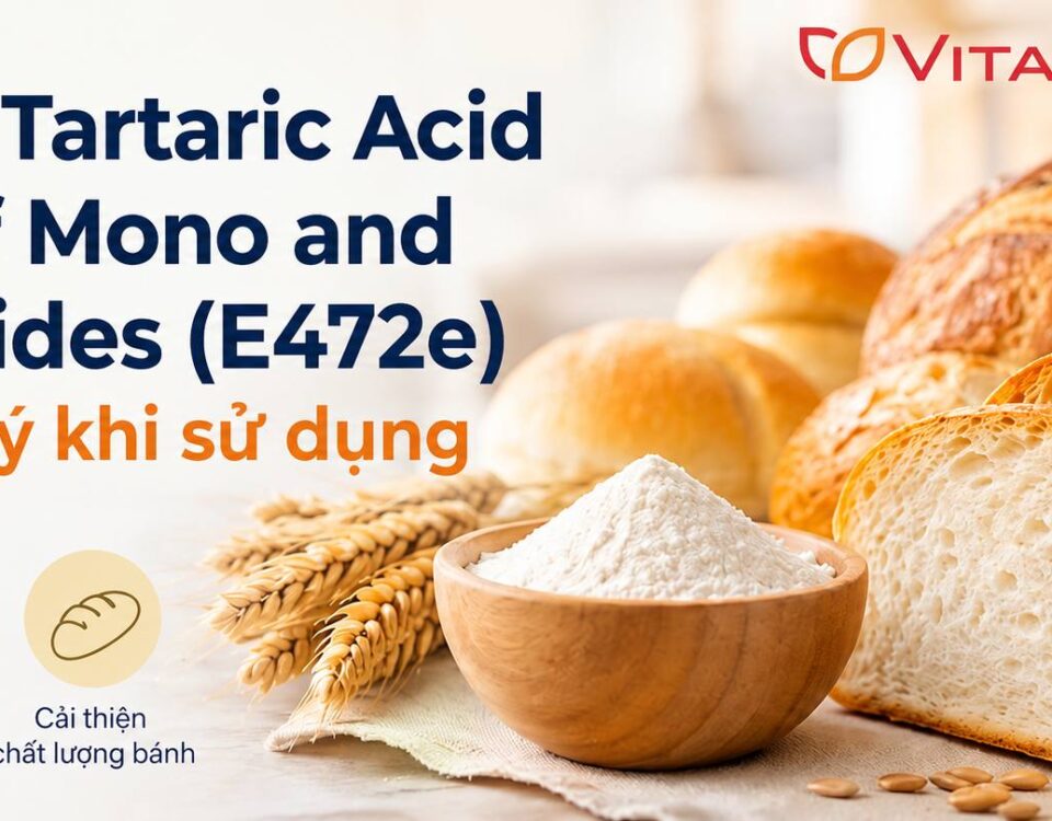 Diacetyl Tartaric Acid Esters of Mono and Diglycerides (E472e) - Lưu ý khi sử dụng