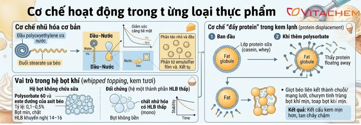 Polysorbate 60 (E435) là gì? Lưu ý khi sử dụng 9 Cơ chế hoạt động của E435 trong từng loại thực phẩm