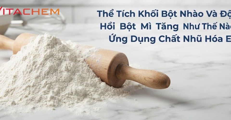 Vai trò của chất nhũ e481 với độ đàn hối và thể tích khối bột nhào