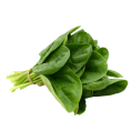 chiet-xuat-tao-mau-xanh-spinach-500x500